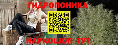 мяу мяу мука Пенза