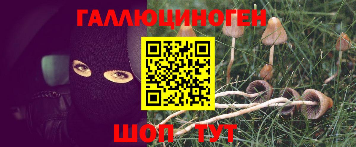 Псилоцибиновые грибы мухоморы  Вход с VPN  что такое наркотик  Алексин  Галлюциногенные грибы ЛСД 