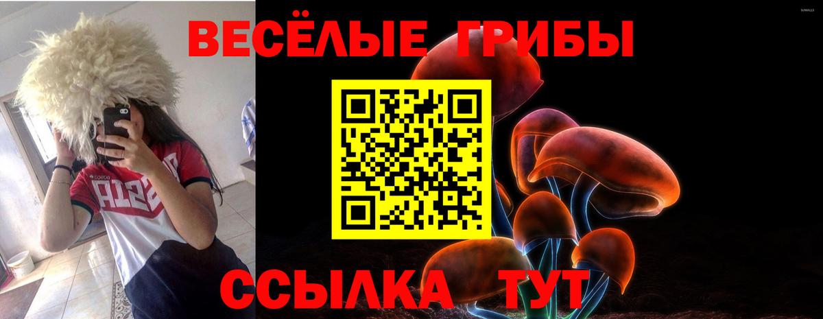 Галлюциногенные грибы прущие грибы Алексин